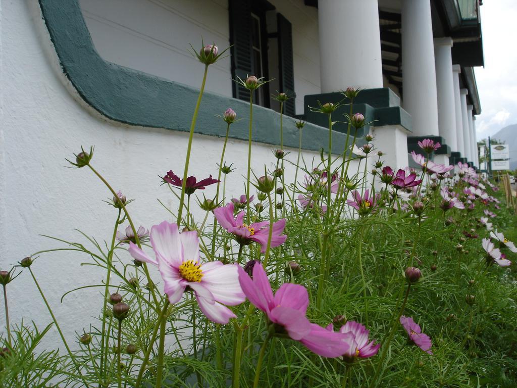 De Doornkraal Vinotel Riversdale Luaran gambar