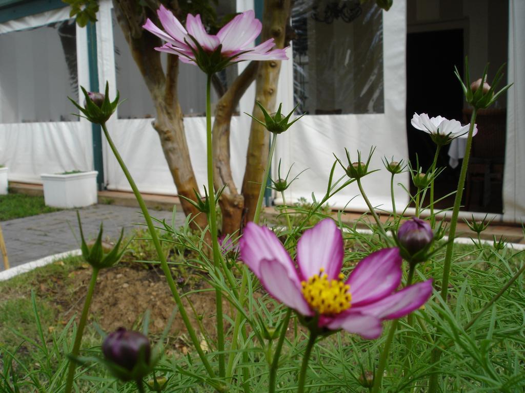 De Doornkraal Vinotel Riversdale Luaran gambar